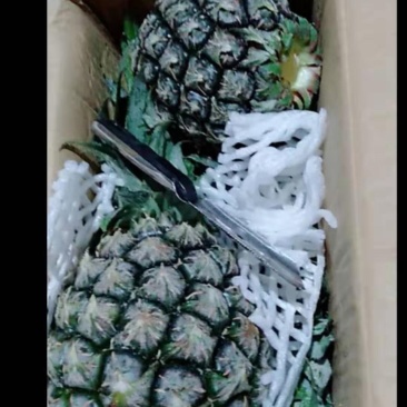 菠萝刀，去眼刀