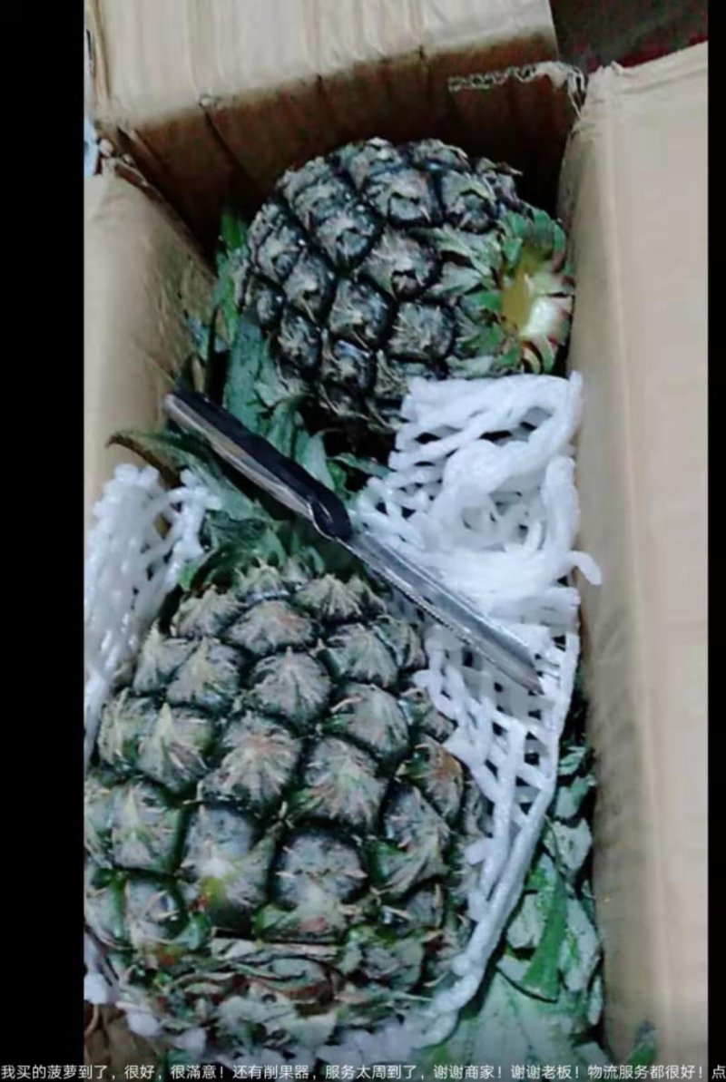 菠萝刀，去眼刀
