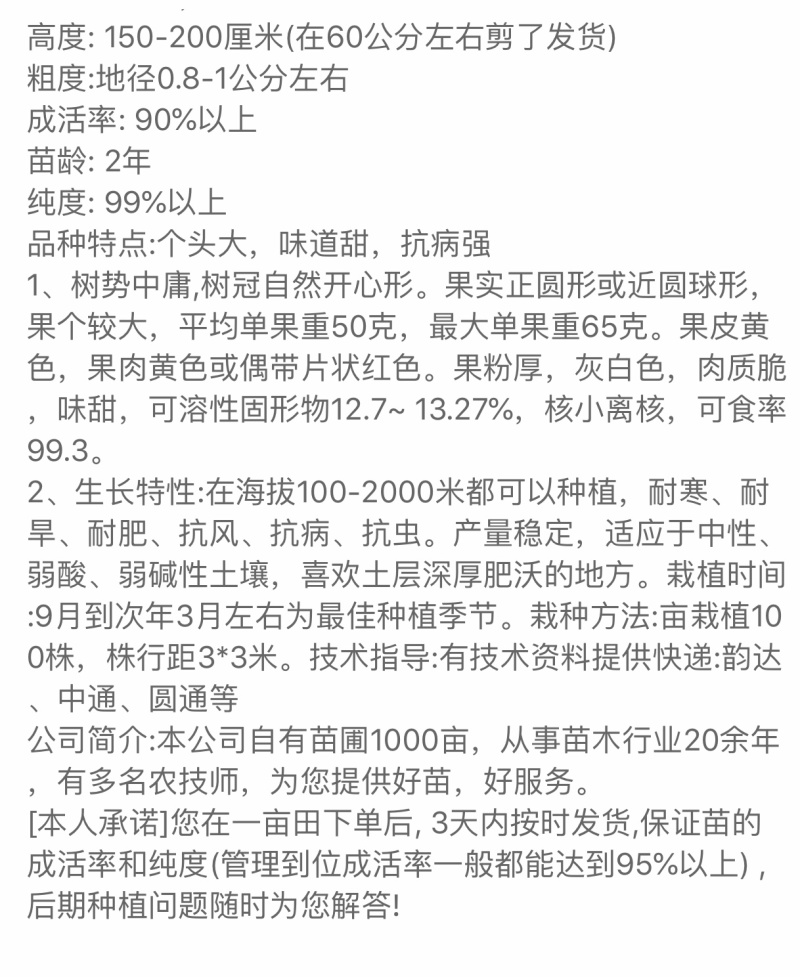 蜂糖李/大苗/一年结果苗味道浓甜包邮指导