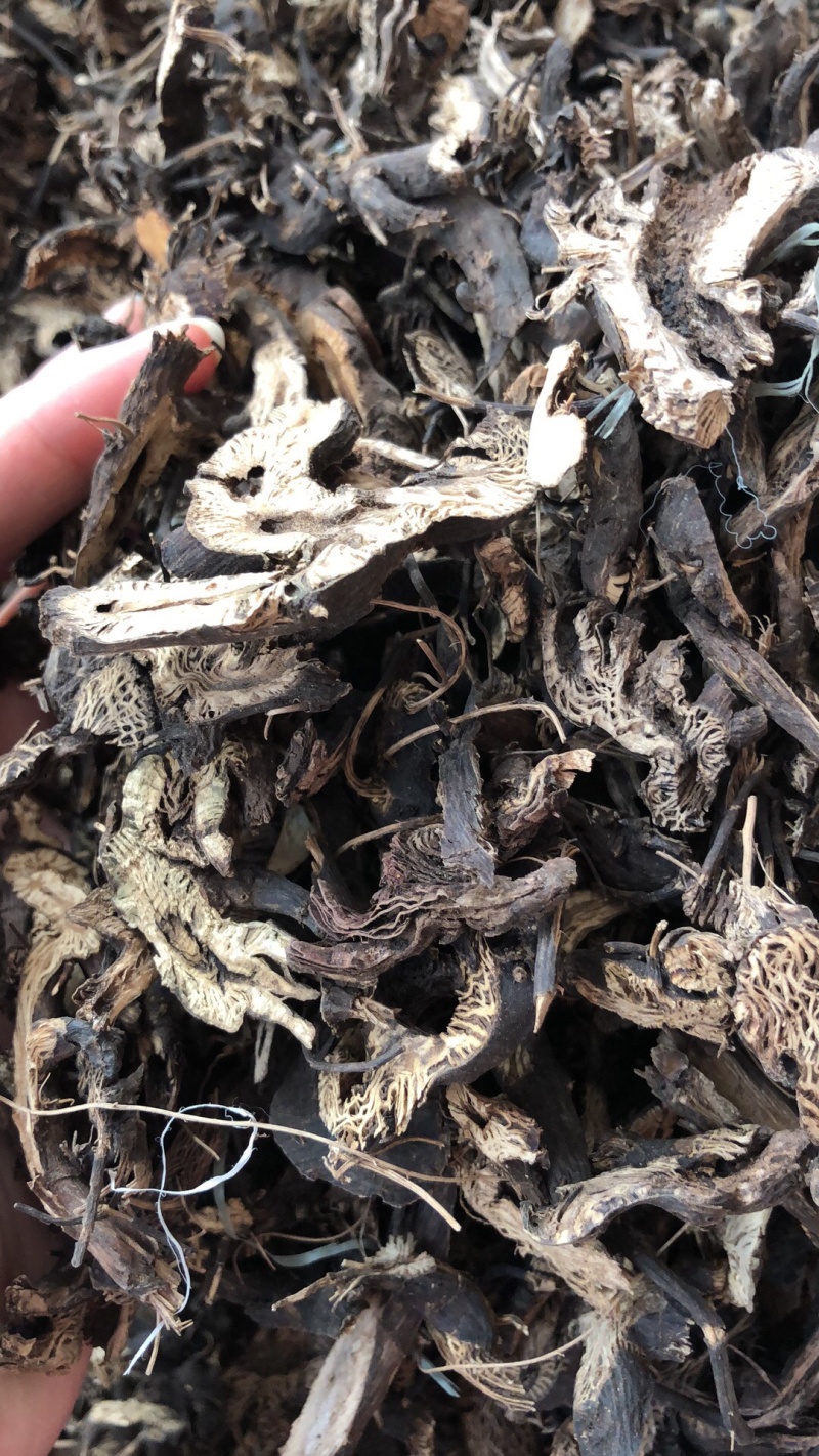 新货正品升麻中药材野生无硫升麻