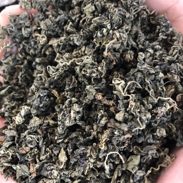 绞股蓝茶散装野生正品原产七叶绞股蓝嫩叶
