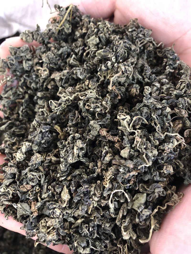 绞股蓝茶散装野生正品原产七叶绞股蓝嫩叶
