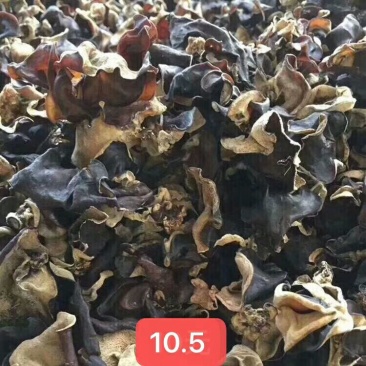 地摊江湖东北小木耳，质量好，一件60斤！毛木耳一件50斤