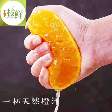 爱媛果冻橙四川眉山丹棱薄皮多汁原产地现摘直供