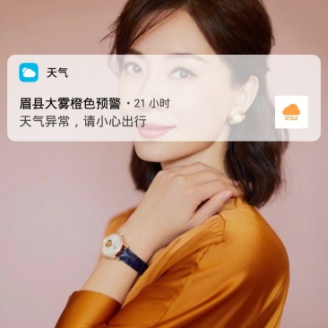 洋葱纯籽
