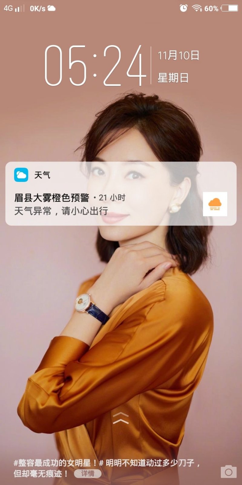 洋葱纯籽