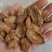 牛蒡茶产地直销批发供应圆片斜片