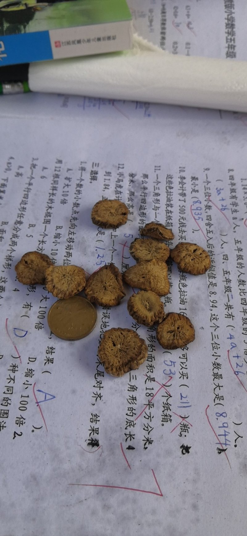 牛蒡茶产地直销批发供应圆片斜片
