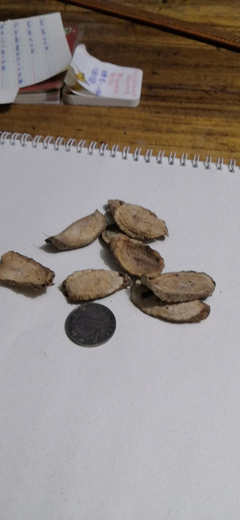 牛蒡茶产地直销批发供应圆片斜片