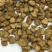 牛蒡茶产地直销批发供应圆片斜片