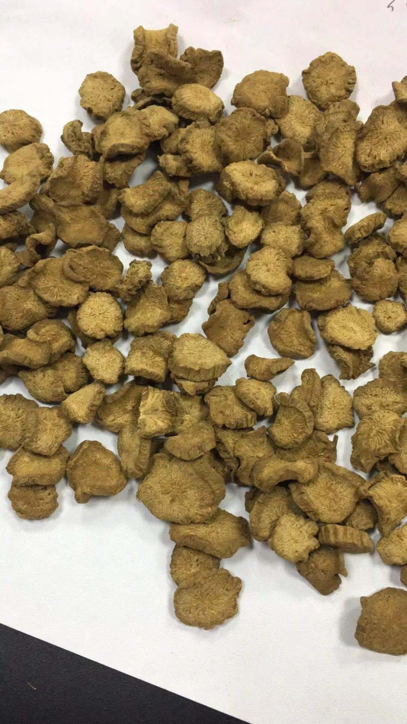 牛蒡茶产地直销批发供应圆片斜片