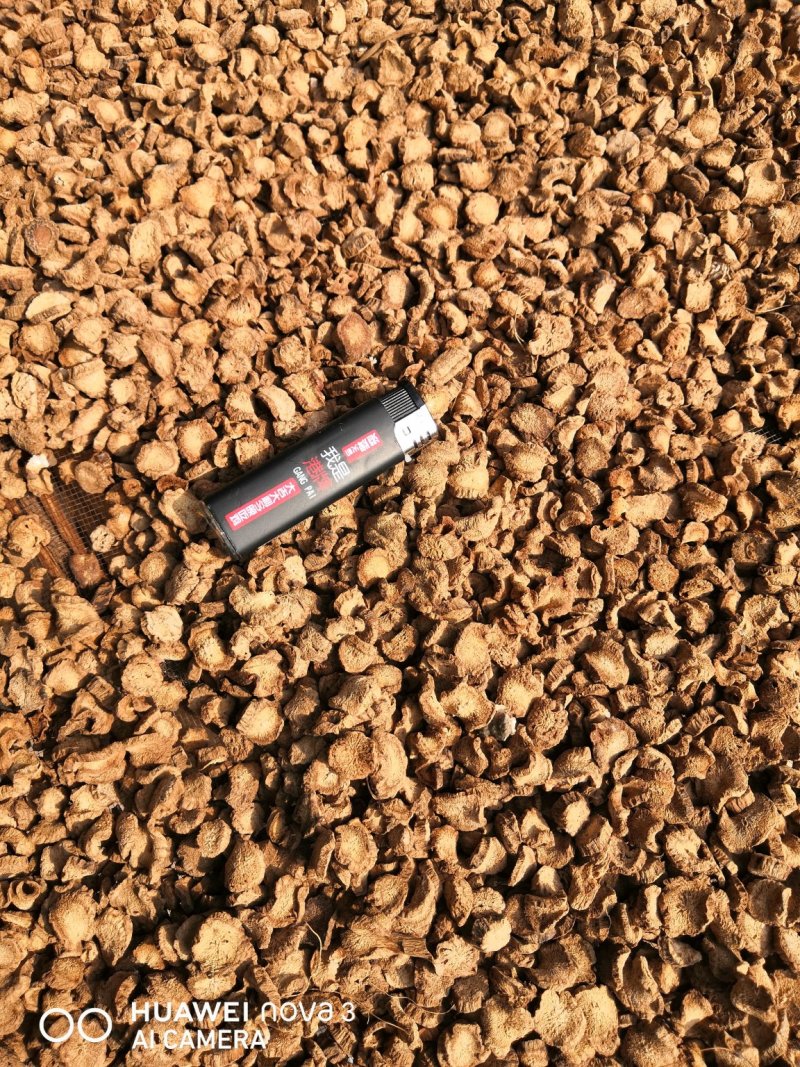 牛蒡茶产地直销批发供应圆片斜片