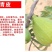 无花果苗波姬红无花果苗盆栽地栽南北方种植无花果树果苗