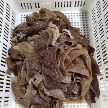 毛肚叶片品质口感好（长期供应）毛肚叶片品质口感好（长期供