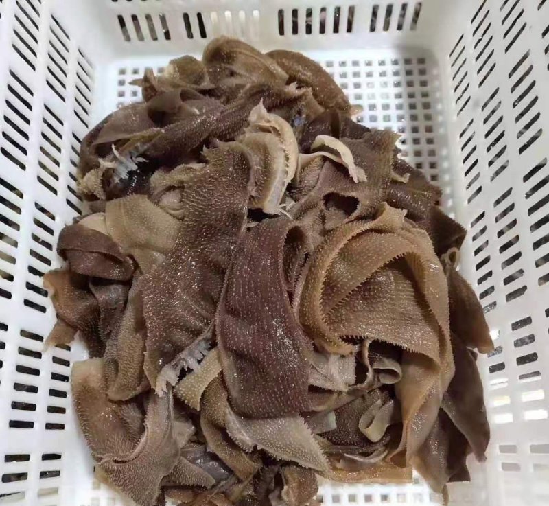 毛肚叶片品质口感好（长期供应）毛肚叶片品质口感好（长期供