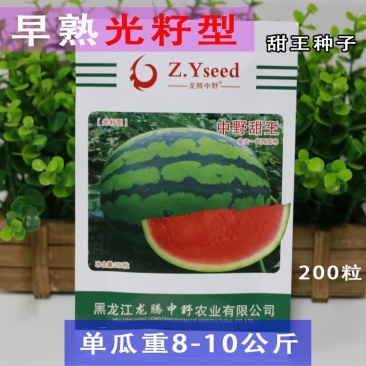 【中野甜王】早熟甜王西瓜种子超甜四季水果种子特大甜王基地