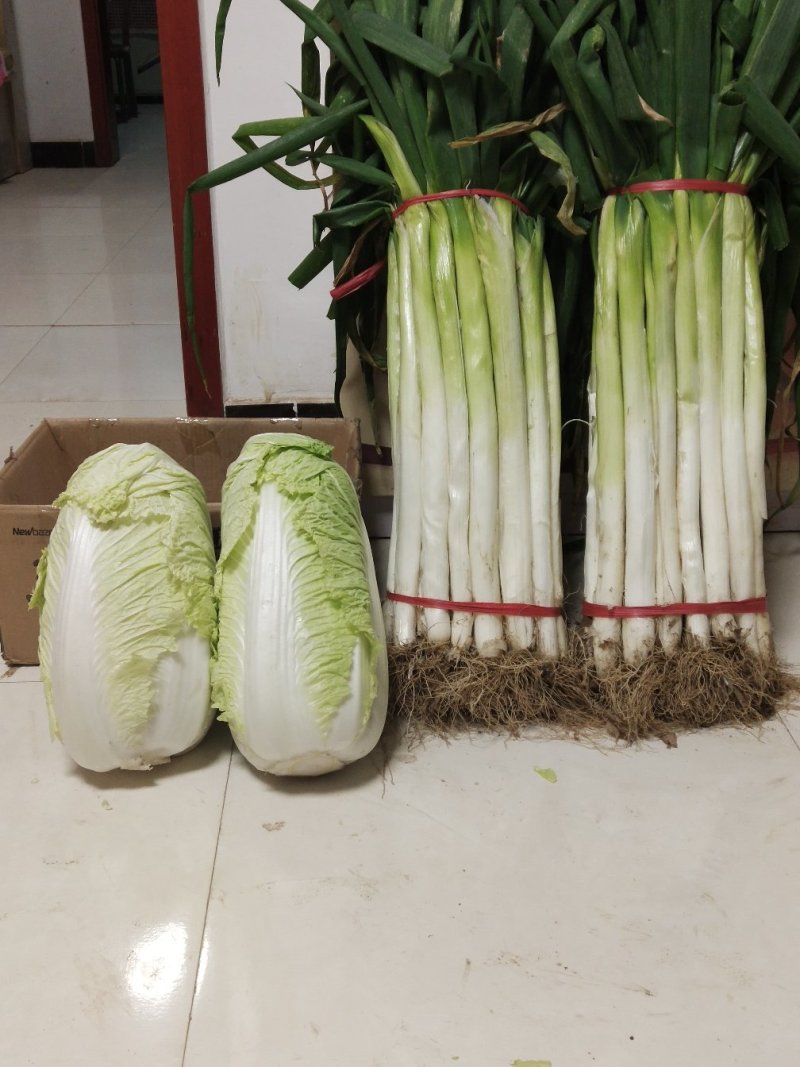 自家种的20亩长白早葱，8月25号上市，自种自销，