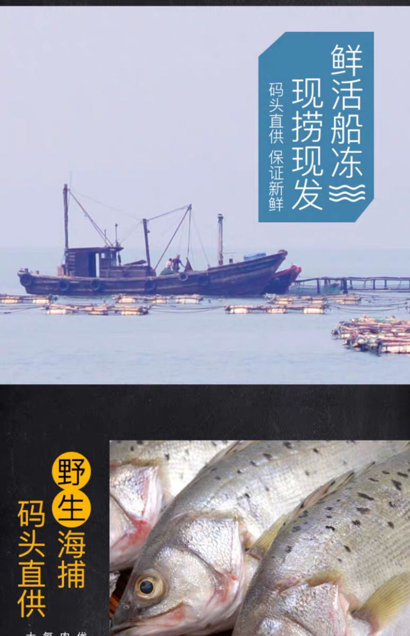 海鲈鱼，开背鲈鱼，大小规格都有，厂家直销支持全国发货