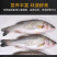 海鲈鱼，开背鲈鱼，大小规格都有，厂家直销支持全国发货