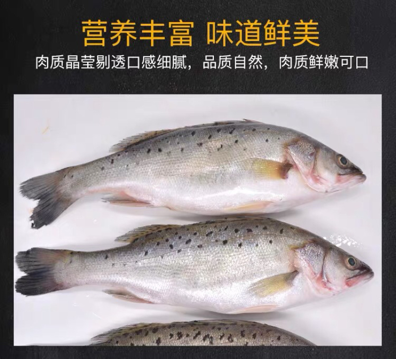 海鲈鱼，开背鲈鱼，大小规格都有，厂家直销支持全国发货