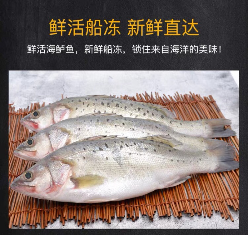 海鲈鱼，开背鲈鱼，大小规格都有，厂家直销支持全国发货