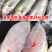 海鲈鱼，开背鲈鱼，大小规格都有，厂家直销支持全国发货