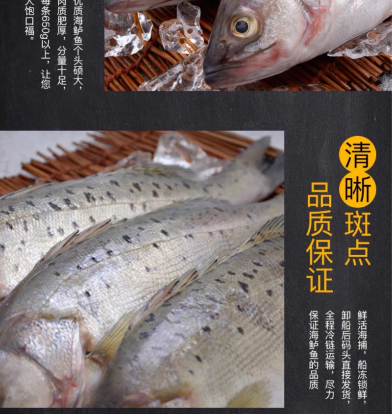 海鲈鱼，开背鲈鱼，大小规格都有，厂家直销支持全国发货