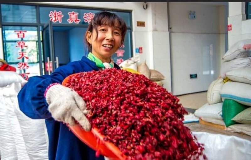 浙真淳山茱萸种子供应