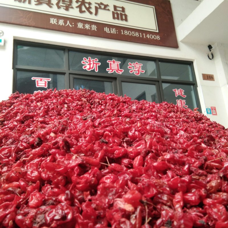 浙真淳山茱萸种子供应
