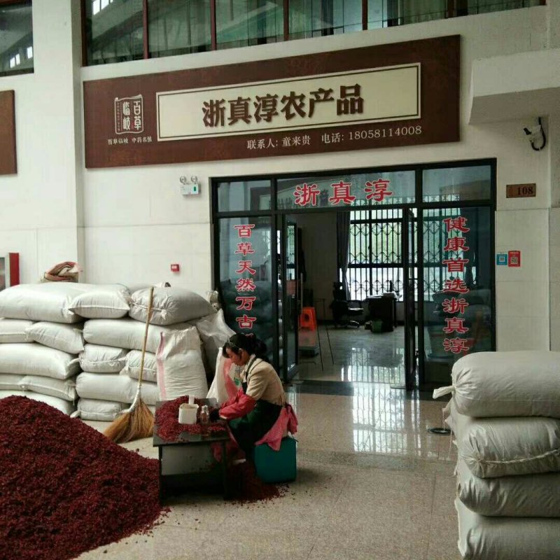 浙真淳山茱萸种子供应