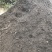 腐植土高温消毒腐熟发孝用于绿化苗木具有营养成分合适移种