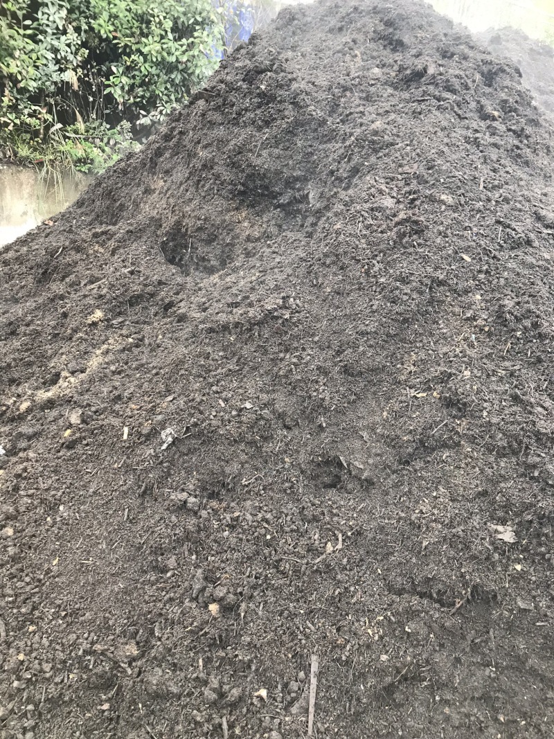 腐植土高温消毒腐熟发孝用于绿化苗木具有营养成分合适移种