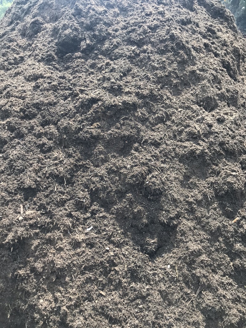 腐植土高温消毒腐熟发孝用于绿化苗木具有营养成分合适移种