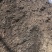 腐植土高温消毒腐熟发孝用于绿化苗木具有营养成分合适移种