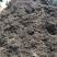 腐植土高温消毒腐熟发孝用于绿化苗木具有营养成分合适移种