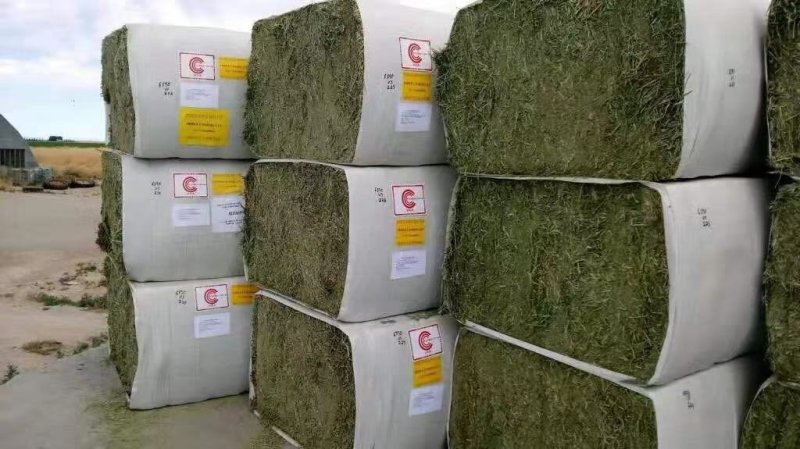 进口苜蓿草全国批发进口苜蓿草优质苜蓿草蛋白含量高粗纤维