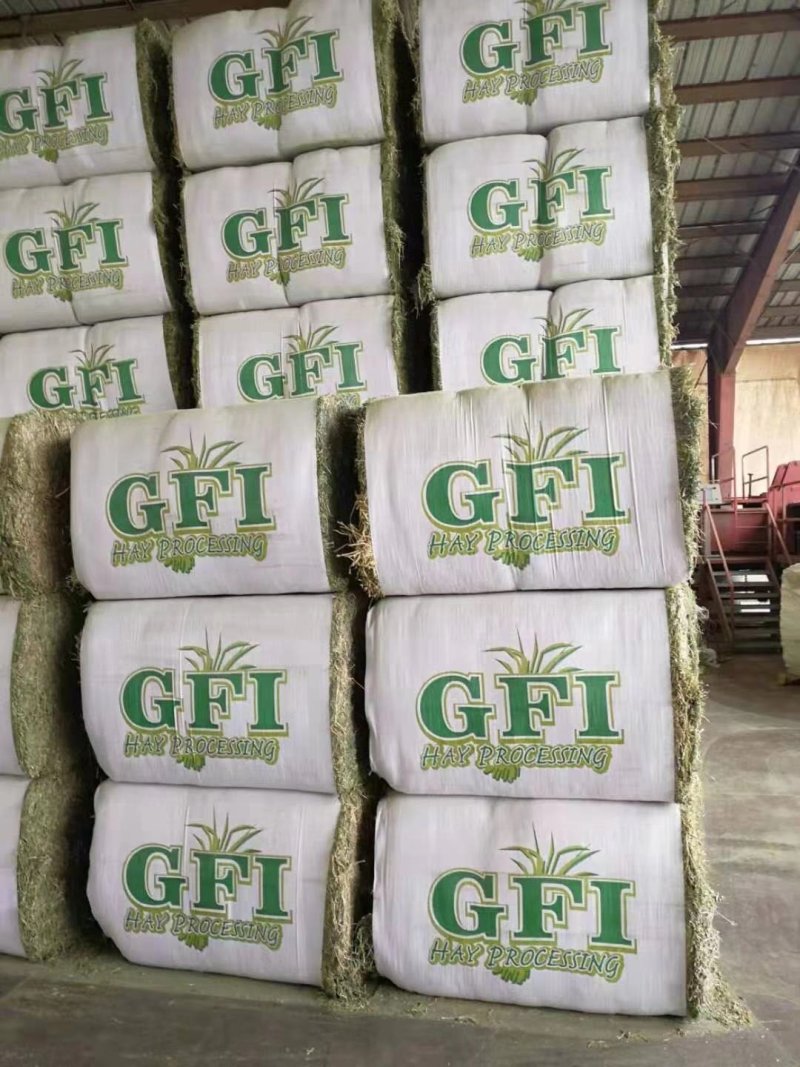 进口苜蓿草全国批发进口苜蓿草优质苜蓿草蛋白含量高粗纤维