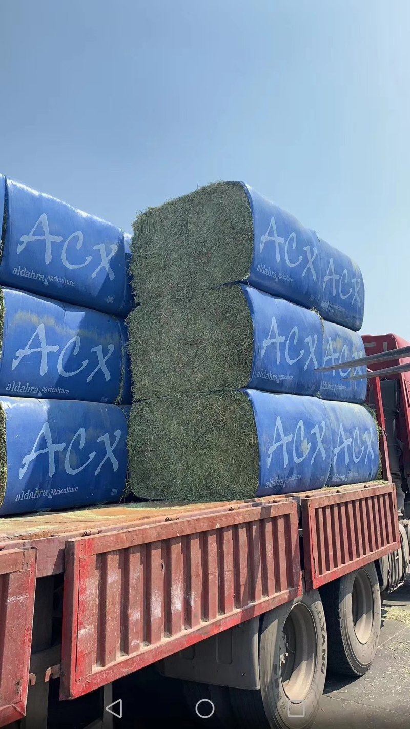 进口苜蓿草全国批发进口苜蓿草优质苜蓿草蛋白含量高粗纤维