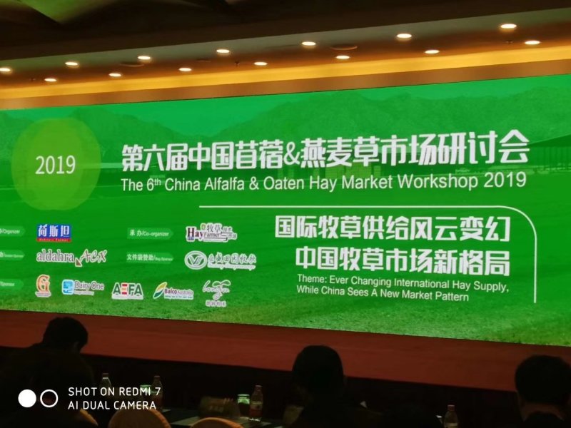 进口苜蓿草全国批发进口苜蓿草优质苜蓿草蛋白含量高粗纤维