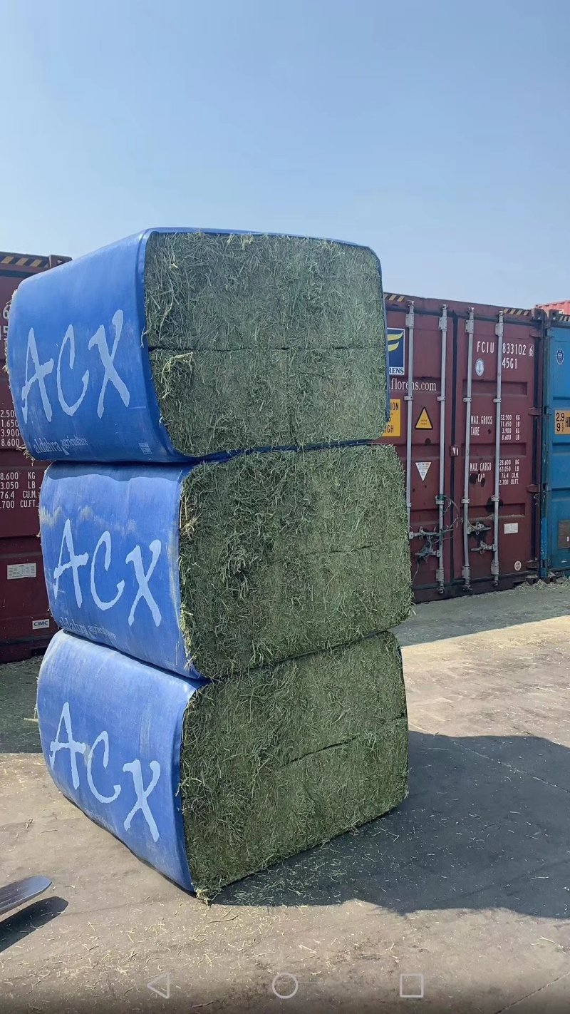 进口苜蓿草全国批发进口苜蓿草优质苜蓿草蛋白含量高粗纤维