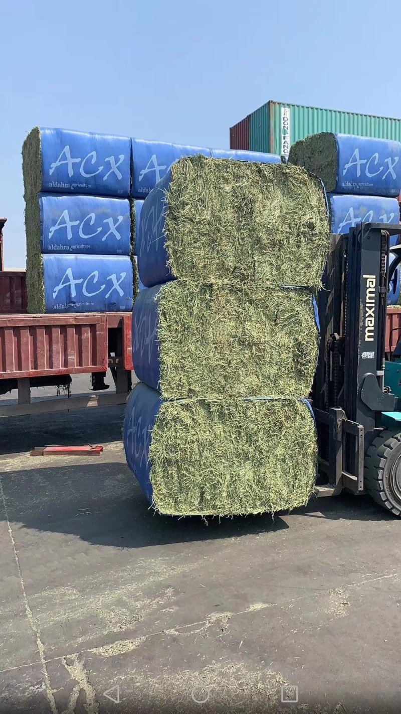 进口苜蓿草全国批发进口苜蓿草优质苜蓿草蛋白含量高粗纤维