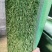 1.5公分围挡草坪，普通加密背胶装饰草坪施工绿化工程草坪