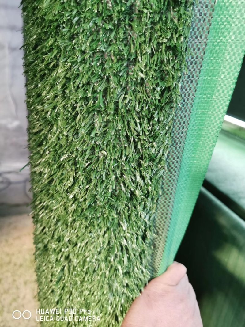 1.5公分围挡草坪，普通加密背胶装饰草坪施工绿化工程草坪