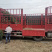 金叶苔草，大叶黄杨柱，紫荆，发车，顺利完成