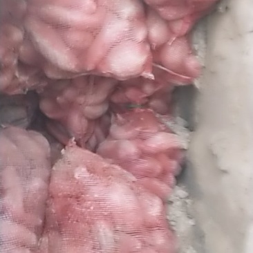 淮阳红薯