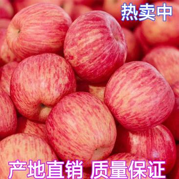 【推荐】红富士苹果价格便宜无残次【脆甜多汁色泽鲜艳】