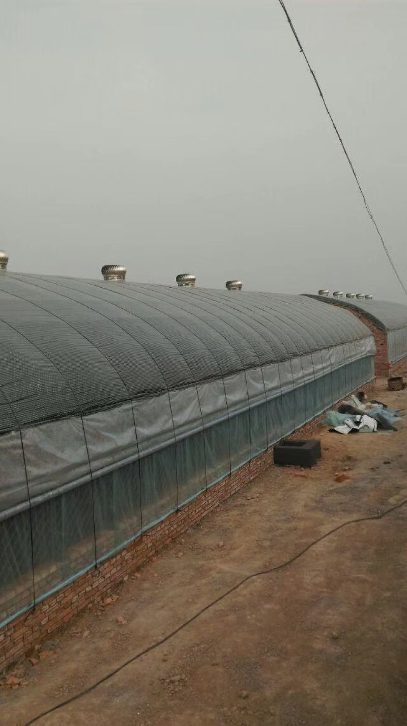 蔬菜大棚建设，温室大棚造价，养殖大棚安装