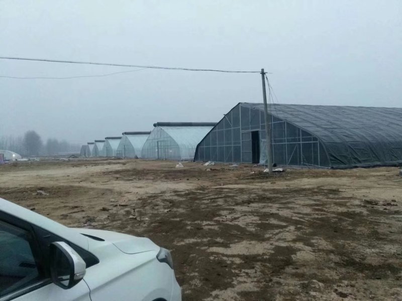 蔬菜大棚建设，温室大棚造价，养殖大棚安装