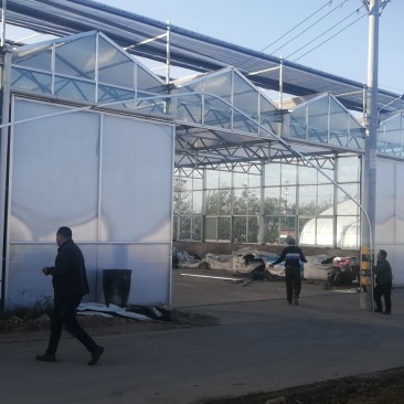 蔬菜大棚建设，温室大棚造价，养殖大棚安装