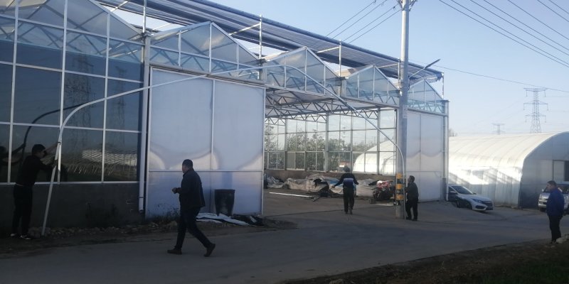蔬菜大棚建设，温室大棚造价，养殖大棚安装